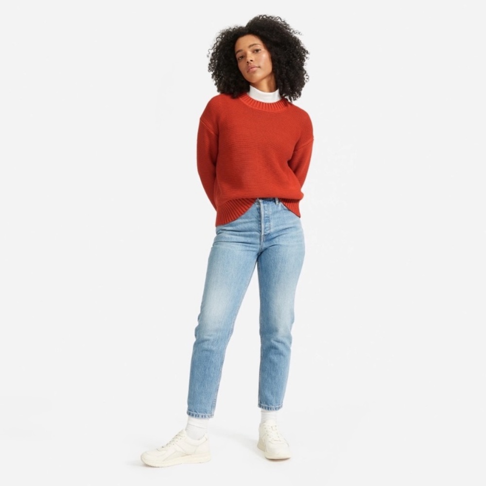 Everlane Ribbed Crew Neck Cotton Knit Sweater in Burnt Orange Color